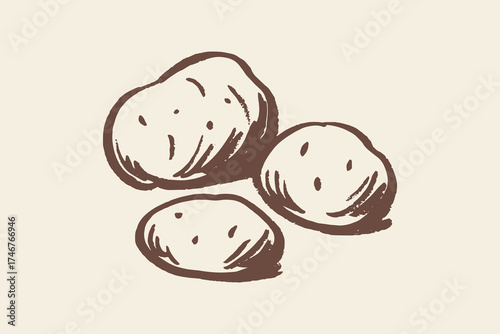 Potatoes rustic sketch hand drawn bold line food vector illustration