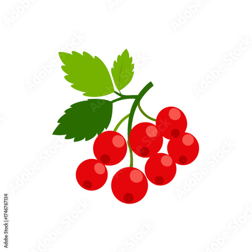 sprig of currants  red and juicy  on a white background 