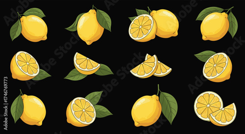 A collection of fresh lemons and their various slices against a black background.