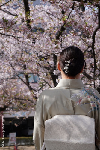 和服女性の後ろ姿