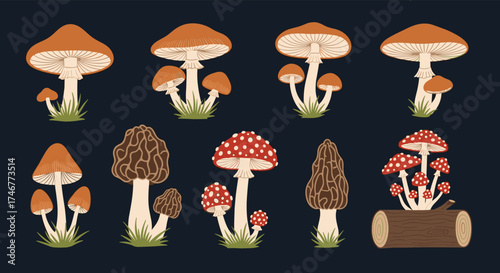 A collection of diverse pixel art mushrooms growing in various natural settings.