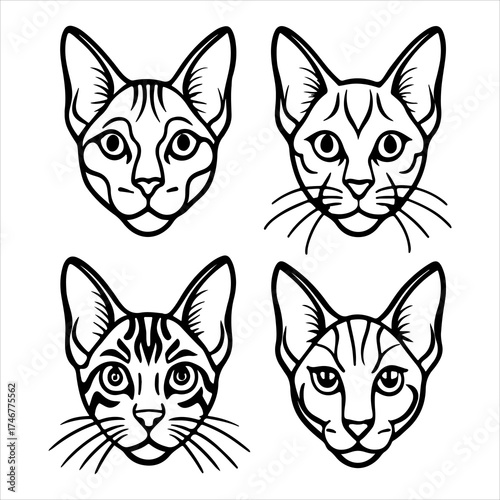A Striking Portrait of the Rare Chausie Wild Hybrid Cat, Showcasing its Tall Athletic Form and Distinctive Tufted Ears, an Exotic Jungle Cat Descendant of Ancient Lineage.