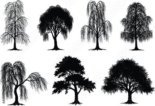 Silhouette willow tree collection, black natural tree shapes vector, forest landscape design, elegant hanging branches illustration, isolated nature elements on white background