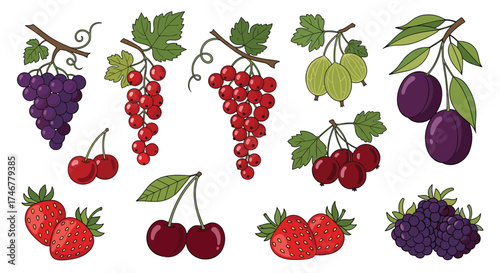 A delicious assortment of fresh berries and fruits hanging from branches.