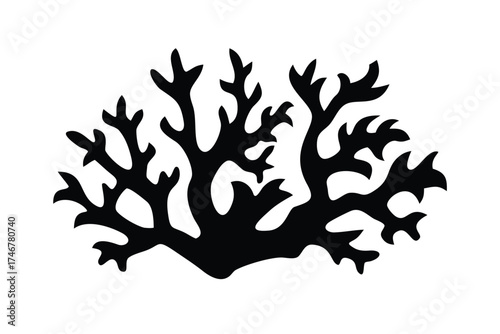 Solid Black and White Coral Reef 