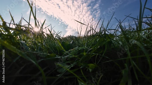 Autumn timelapse with ice melting from the grass with the sun rising

