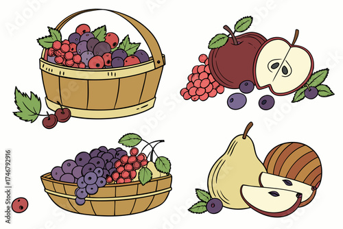 set of Grapes and autumn fruits silhouette vector illustration