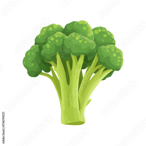 Flat 2D vector illustration of Broccoli Bunch in a simple and modern style, on a white background.