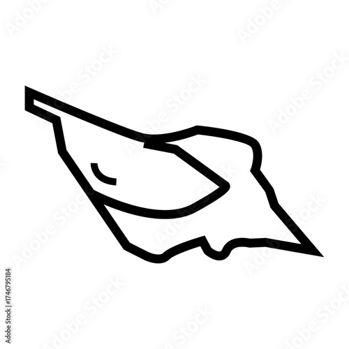 vector illustration of a conch sea