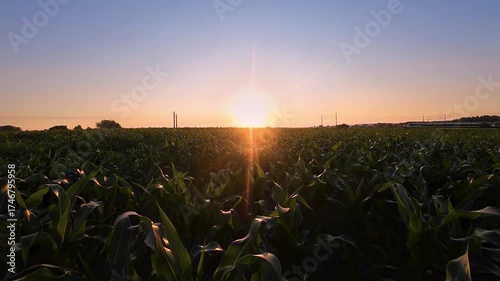 Train crossing through german countryside at sunrise on a beautiful morning day
