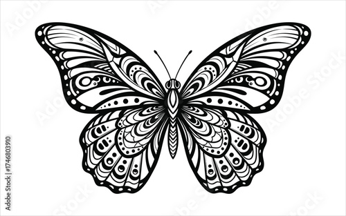 Vectorized Butterfly for print, decoration, Wallpaper, Commercial use, Sketch.