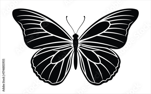 Vectorized Butterfly for print, decoration, Wallpaper, Commercial use, Sketch.
