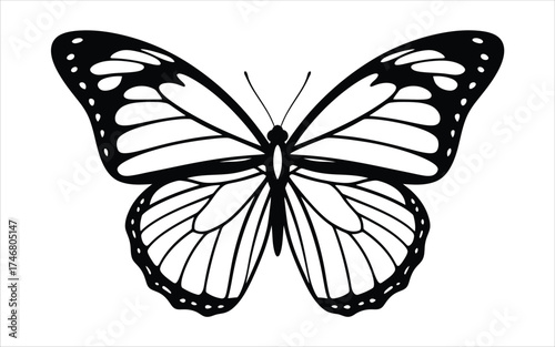 Vectorized Butterfly for print, decoration, Wallpaper, Commercial use, Sketch.