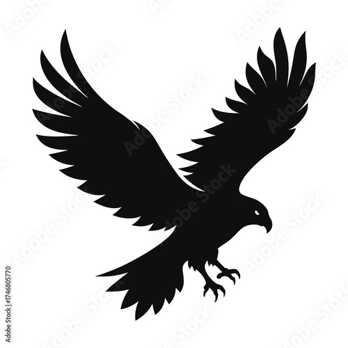 Silhouette of an eagle in flight against a sky background