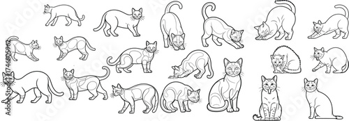 Collection of outline cats in various poses line art illustration