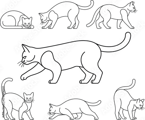 Elegant line art illustration of cats in various poses artistic style
