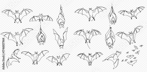 A collection of bat illustrations in various poses, including flying and hanging.