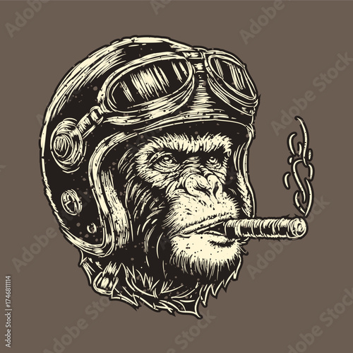 The woodcut illustration style vector gorilla  wearing helm