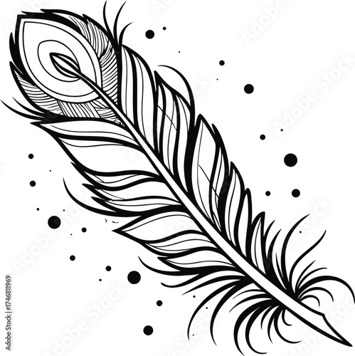 Sophisticated Black White Feather Drawing