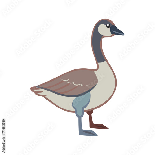 Vector art of a stylized illustration of a canada goose with detailed feathers and a blue leg, isolated on a