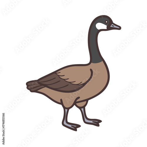 Vector art of a simple cartoon drawing of a canada goose with a brown body and black neck, standing and looking to the right, isolated on a