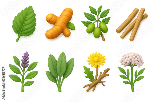 3D Herbal Medicine Icons. Traditional medicine icons in 3D color style: holy basil leaf, turmeric root, neem branch, ashwagandha root, licorice plant,