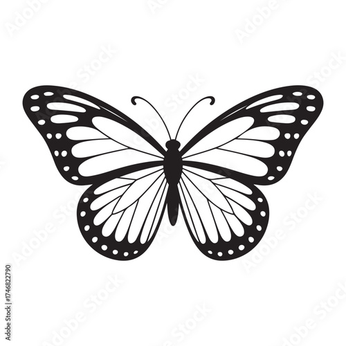 Elegant Black and White Butterfly Outline