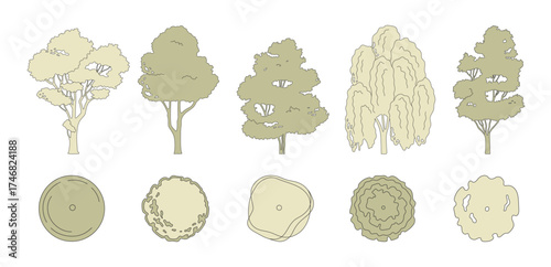 Trees for entourage design. Various trees, bushes, and shrubs, top view for the landscape design plan. Vector illustration.