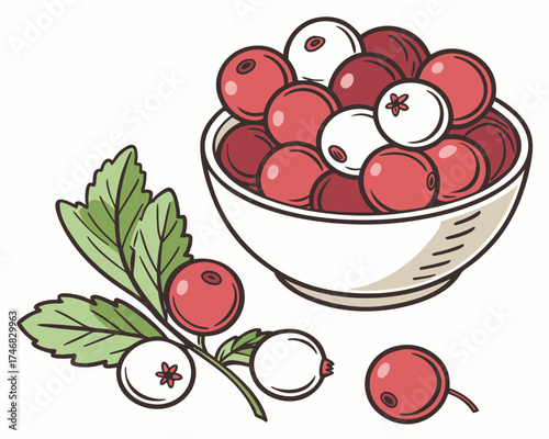 Cranberries in a bowl, fresh fruit element silhouette vector illustration
