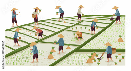 Farmers in conical hats working in segmented flooded rice paddies