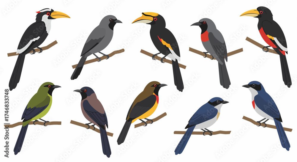 Fototapeta premium Ten colorful tropical birds perched on brown branches against a white background