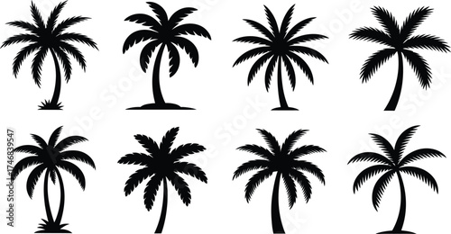 Iconic tropical palm trees silhouette collection, perfect for summer and travel designs.