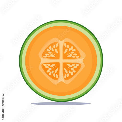 Vector illustration of a sliced cantaloupe melon cross-section showing seeds and fresh orange flesh