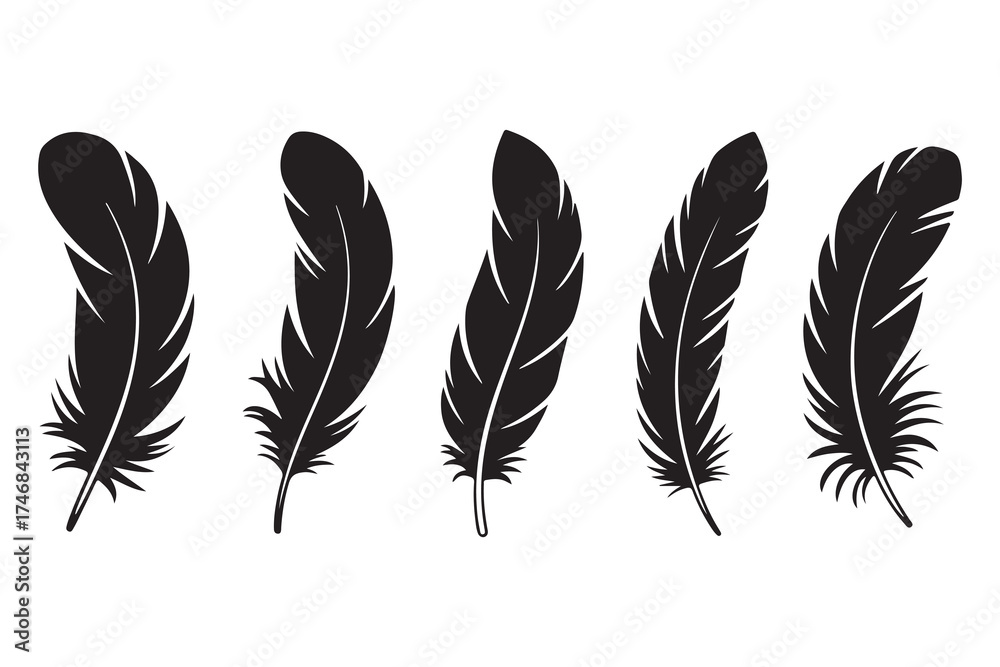 Obraz premium Set of five black feather silhouettes isolated on white background minimalist style 