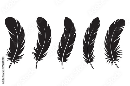 Set of five black feather silhouettes isolated on white background minimalist style
