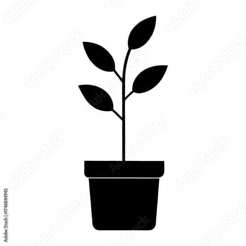 Simple silhouette of a potted plant with green leaves emerging from a pot