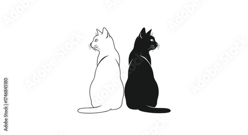 Two cats a white and a black cat sitting back to back.