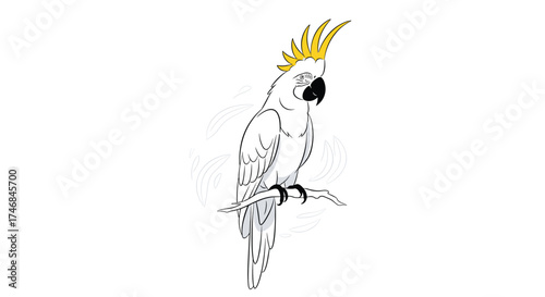 A drawing of a cockatoo perched on a branch.