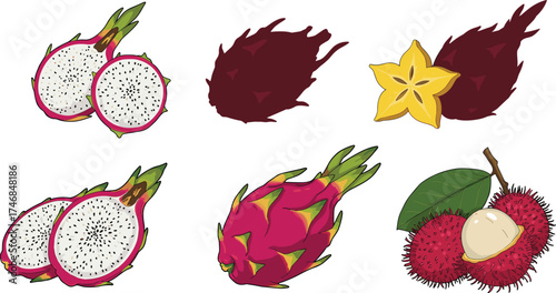 Exotic tropical fruit illustration, dragon fruit, rambutan, starfruit, colorful botanical drawing, sliced fruit, whole fruit, organic healthy food, tropical harvest