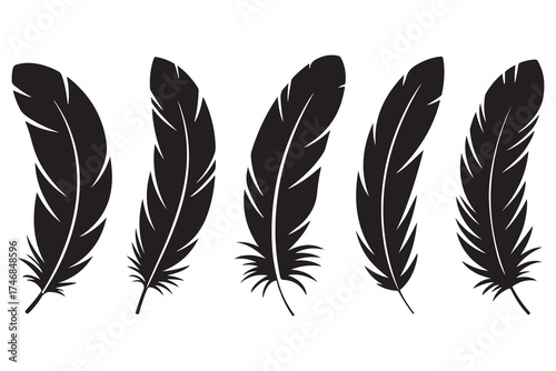 Set of five black feather silhouettes isolated on white background minimalist style

