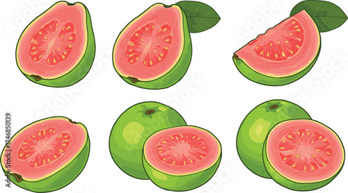 Fresh guava fruit illustration, whole guavas, sliced guava, pink flesh, tropical exotic fruit, organic healthy food, botanical drawing, seasonal harvest nutrition