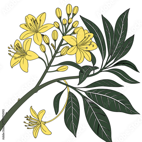 Vector art of an exquisite illustration of a flowering branch, adorned with vibrant yellow blossoms and lush green leaves, capturing the essence of natures beauty and springtime charm