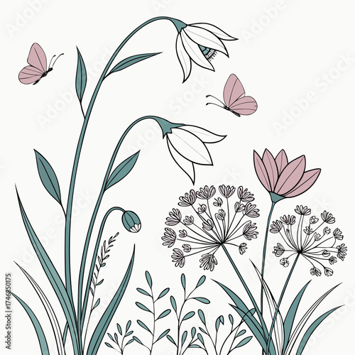 Vector art of botanical illustration featuring snowdrop flowers, allium flowers, and butterflies the illustration is in a simple, elegant style with a muted color palette