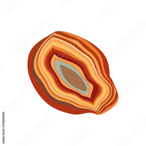 agate slice  translucent  banded  on a white 