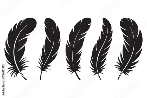 Set of five black feather silhouettes isolated on white background minimalist style
