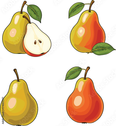 Fresh pear fruit illustration, whole pears, sliced pear, colorful pear varieties, tropical fruit, organic healthy food, botanical drawing, seasonal harvest nutrition