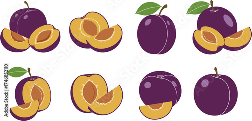 Fresh plum fruit, whole and sliced plums, dark purple plum illustration, juicy organic fruit, healthy food design, realistic plum artwork