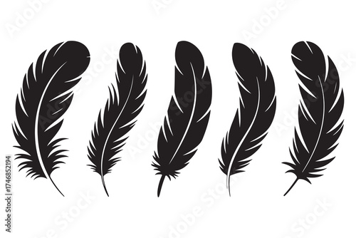 Set of five black feather silhouettes isolated on white background minimalist style
