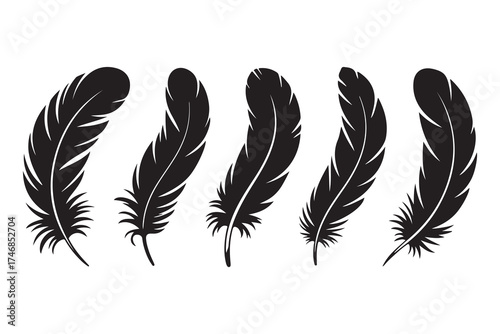 Set of five black feather silhouettes isolated on white background minimalist style
