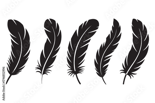 Set of five black feather silhouettes isolated on white background minimalist style
